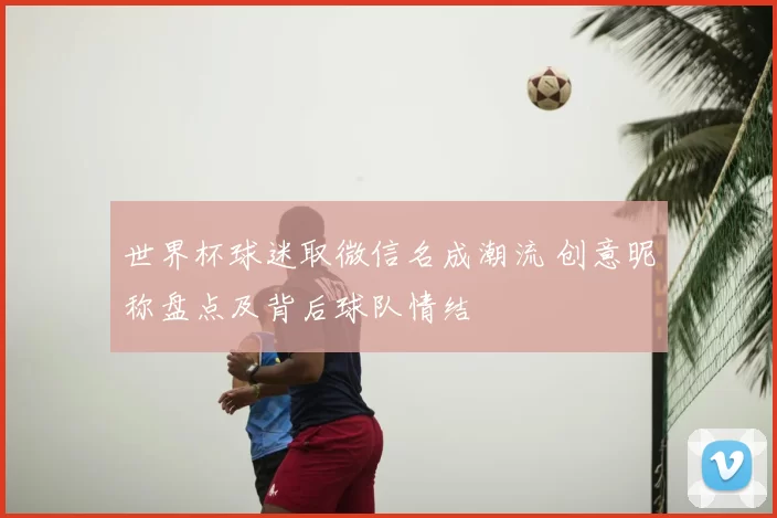 世界杯球迷取微信名成潮流 创意昵称盘点及背后球队情结